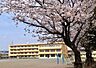 周辺：社家小学校 856m