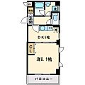 グランシャリオ4階8.0万円