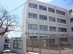 小中学校・スーパーが徒歩10分圏内に揃います