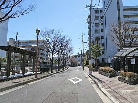 敷地東側の前面道路（北側から）