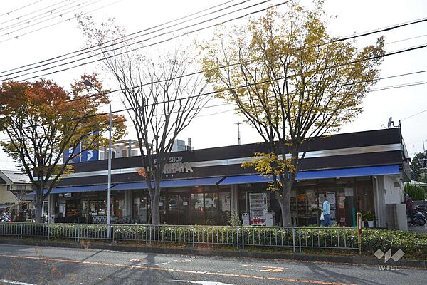 周辺を拡大表示