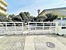 周辺：柏市立酒井根小学校　