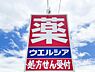 周辺：ウエルシア松戸牧の原店　