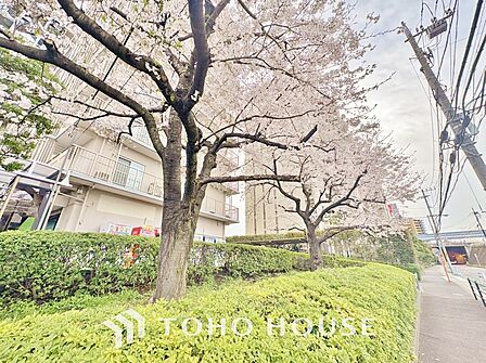 植栽は、目隠しに利用されたり、木陰をつくる、季節を感じさせるなど、入居者の心身を癒す働きもあります。