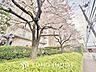その他：植栽は、目隠しに利用されたり、木陰をつくる、季節を感じさせるなど、入居者の心身を癒す働きもあります。