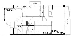 コーポ青山III 5階