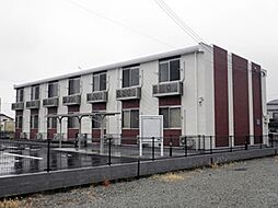 レオネクストロッソ明神木 101