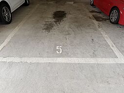 18 / 25