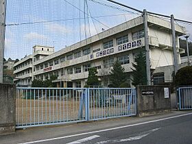 兵庫県姫路市安富町植木野（賃貸アパート1LDK・1階・29.81㎡） その3