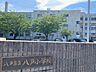 周辺：八戸市立八戸小学校 570m