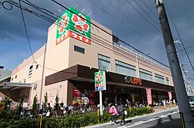 BUCCI KOBE MOTOMACHI  ｜ 兵庫県神戸市中央区元町通３丁目（賃貸マンション1LDK・7階・33.92㎡） その15