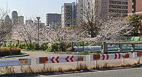 神戸国香通Futur  ｜ 兵庫県神戸市中央区国香通４丁目（賃貸マンション1K・13階・20.46㎡） その18