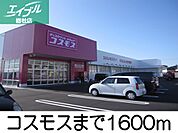 コスモス 1600m