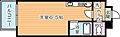 ベルガ中津口7階3.1万円