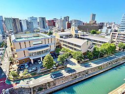 ロイヤルノースナイン