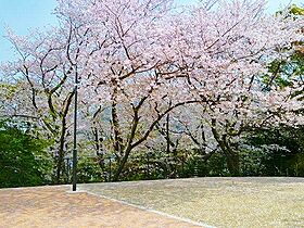 Legend okada（レジェンド岡田）  ｜ 福岡県北九州市八幡西区岡田町（賃貸マンション1R・6階・33.30㎡） その24