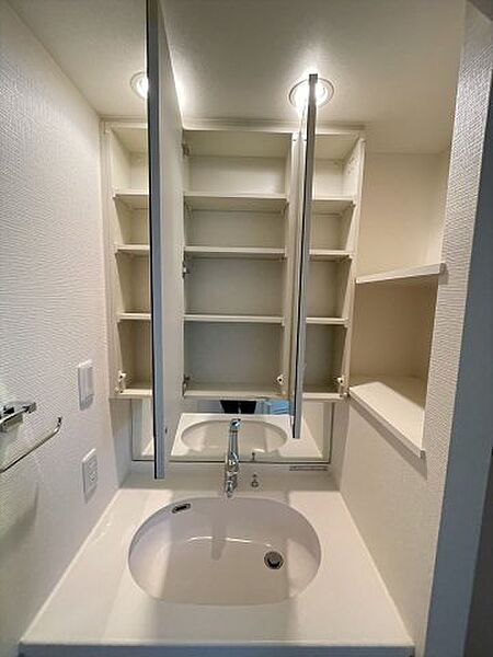 画像16:ゆったりとスペースのある洗面所