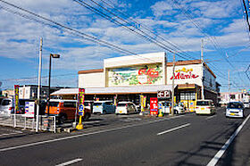 サンフラワー太田駅サイドＦ 102 ｜ 香川県高松市多肥下町107番地1（賃貸アパート1LDK・1階・36.25㎡） その16