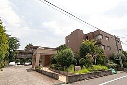 ラヴィーン等々力