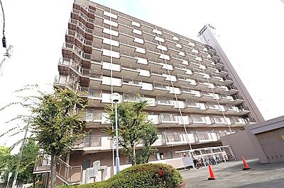外観 外観