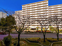 〜即日案内も可能です〜梅島ハイツ