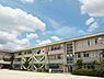 周辺：松戸市立馬橋小学校（230m）