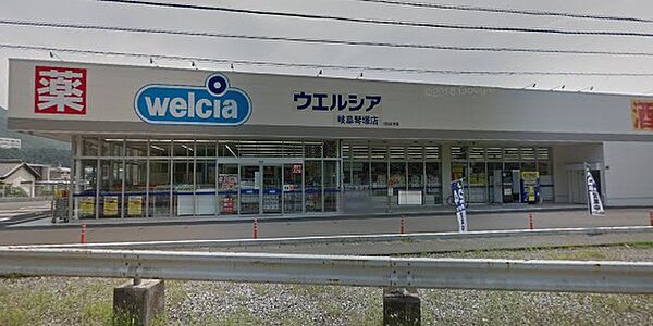 画像4:【ドラッグストア】ウエルシア 岐阜琴塚店まで1132ｍ