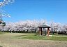 周辺：舞平公園ブランコ・複合遊具・ターザンロープ・砂場などがある「ちびっこ広場」やどんぐりの実がたくさん実る「どんぐりの森」、のびのび走れる「芝生広場」があります。春には桜が公園全体に咲き誇り、お花見も…