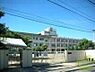 周辺：石橋小学校 1239m