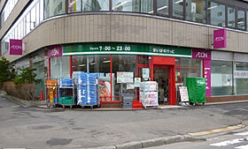 北海道札幌市中央区南三条西9丁目（賃貸マンション1LDK・7階・41.67㎡） その18
