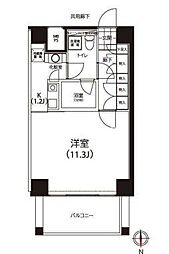 クイズ恵比寿
