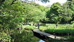 国立科学博物館付属　自然教育園[1600m]