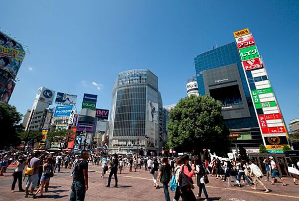 パークアクシス渋谷桜丘ウエスト 1306｜東京都渋谷区桜丘町(賃貸マンション1LDK・13階・43.49㎡)の写真 その15