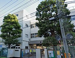 W house