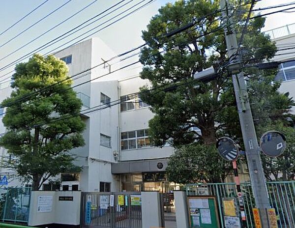 W house