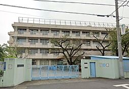 W house