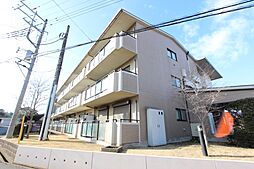 ダンディライオン