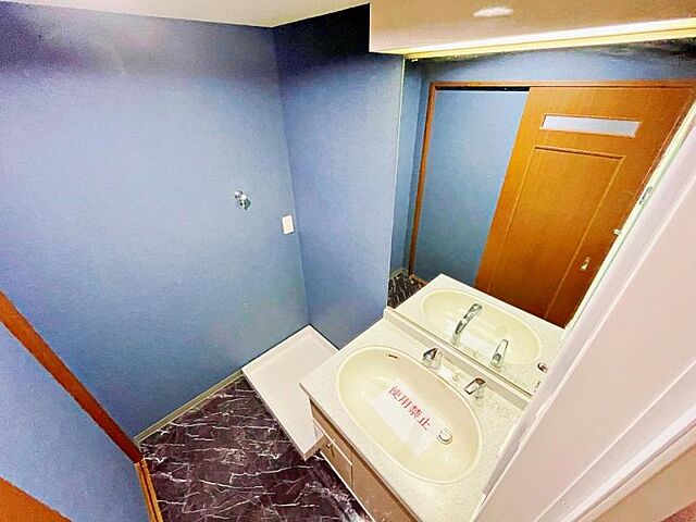 洗面 ドメス稲田堤 4階/-