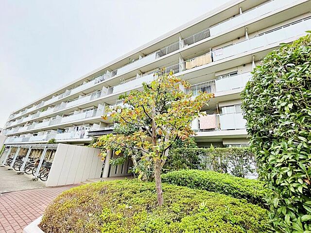 外観 多摩川久地パークハイツ 3階/-