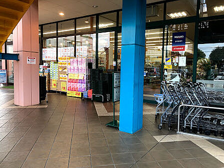 薬のヒグチ西調布店 徒歩13分