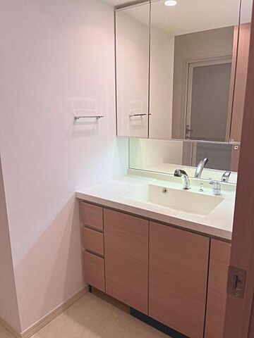 洗面 武蔵野タワーズスカイクロスタワー 11階/-