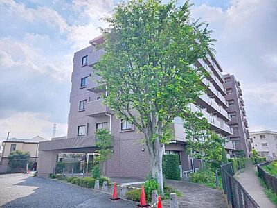 外観 外観