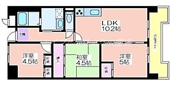 サニーコットン住之江 3LDKの間取図画像
