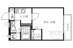 パールコートハナノキ