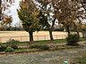 周辺：東田球場 800m
