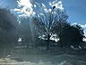 周辺：林公園 360m
