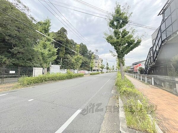 画像12:前面道路