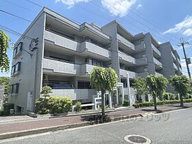 レフィナード帝塚山207  ｜ 奈良県奈良市帝塚山6丁目（賃貸マンション3LDK・2階・120.26㎡） その1