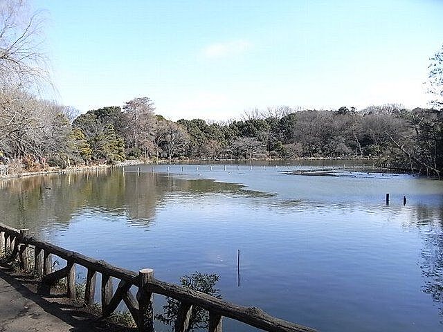 周辺