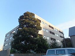 ガーデンコートＴ 503